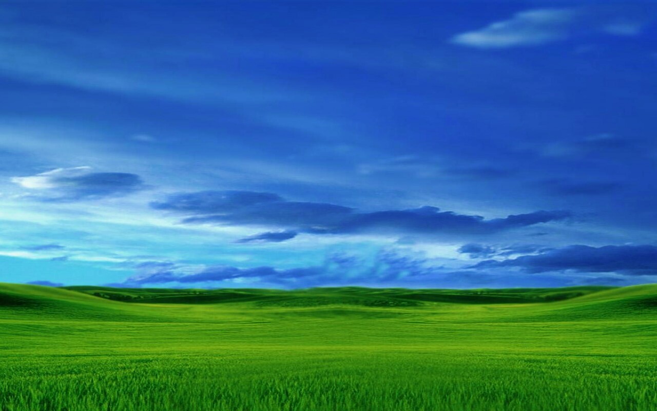 Зеленый луг обои