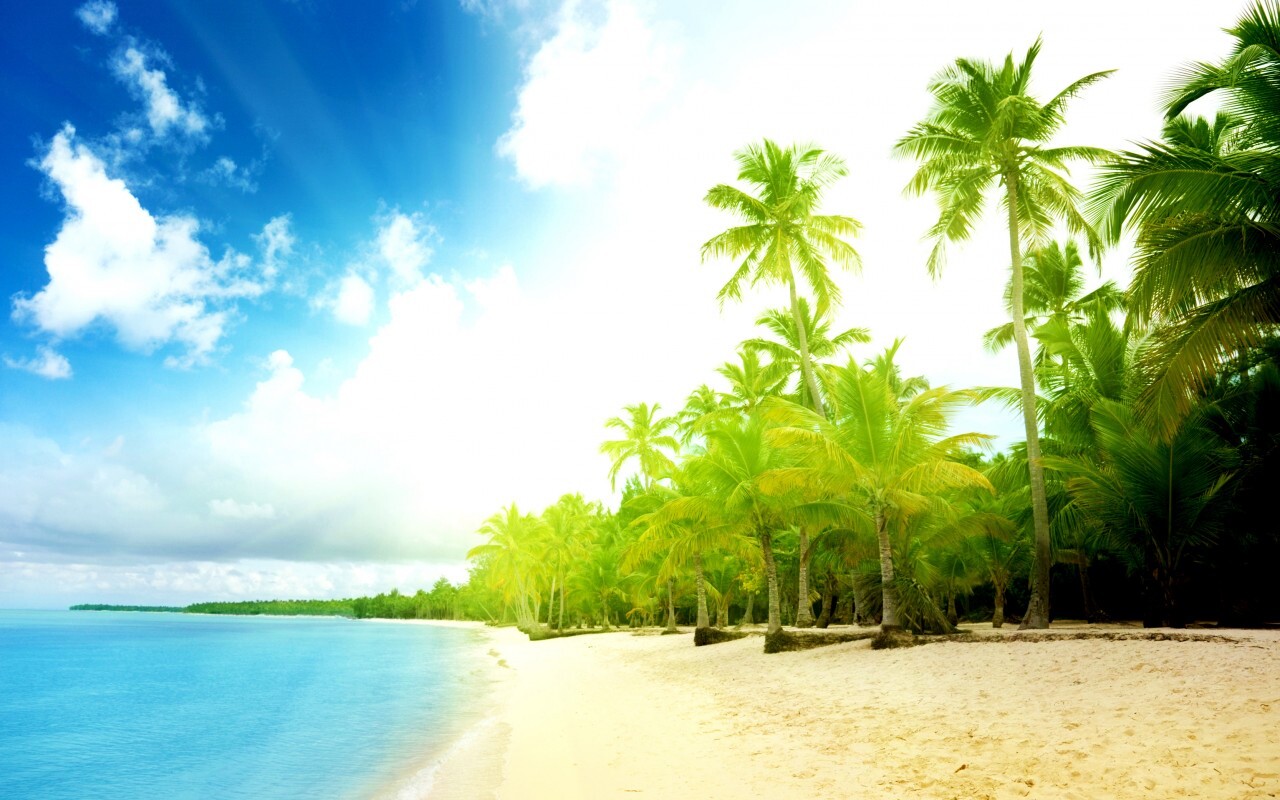 Тропическое побережье обои