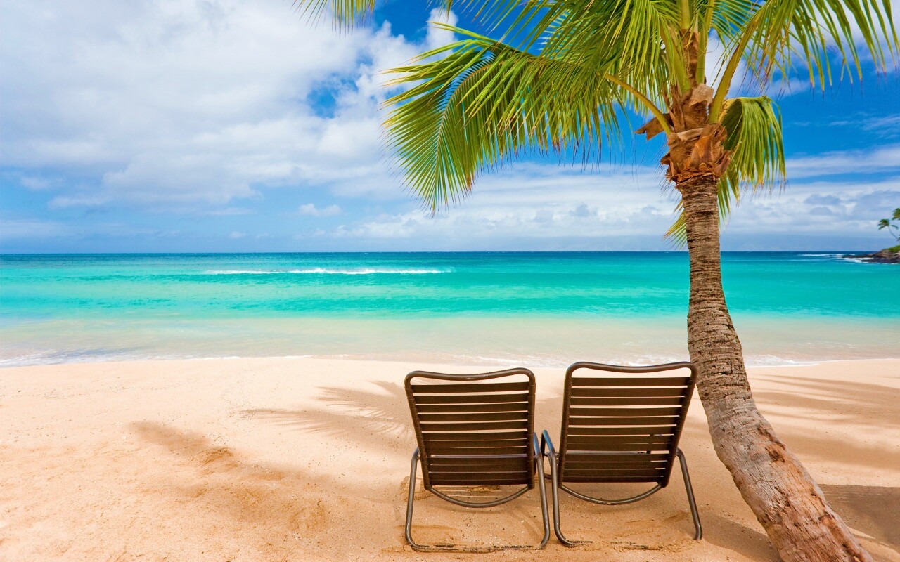 Шезлонги обои