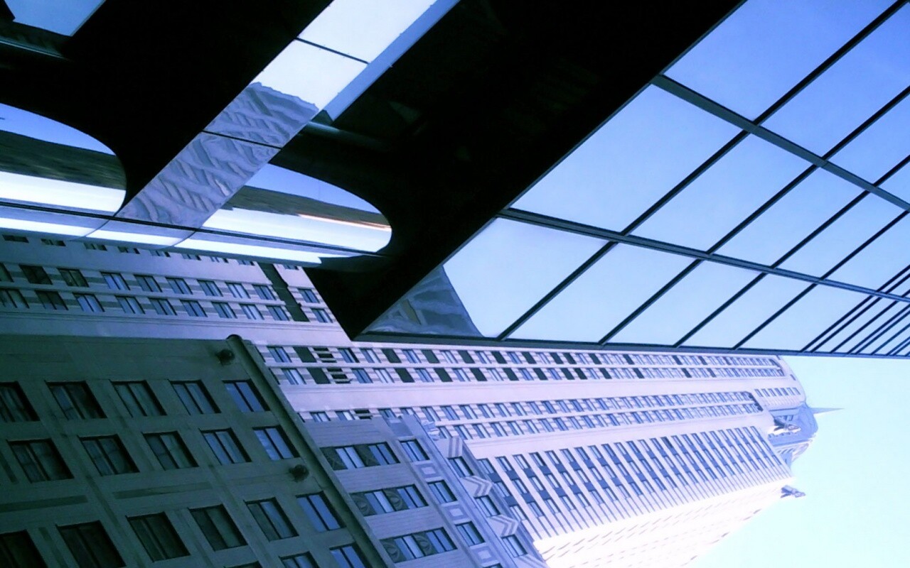 Взгляд вверх обои