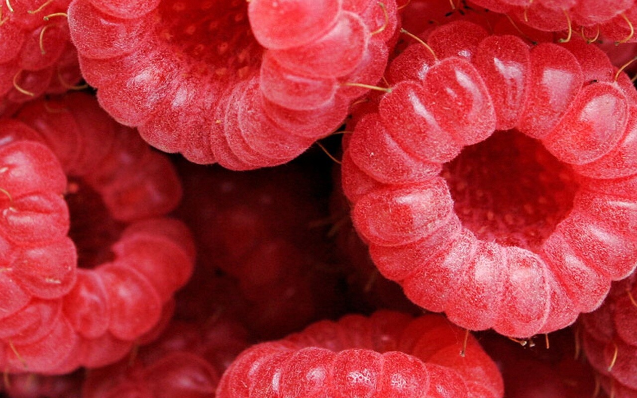 Малина обои