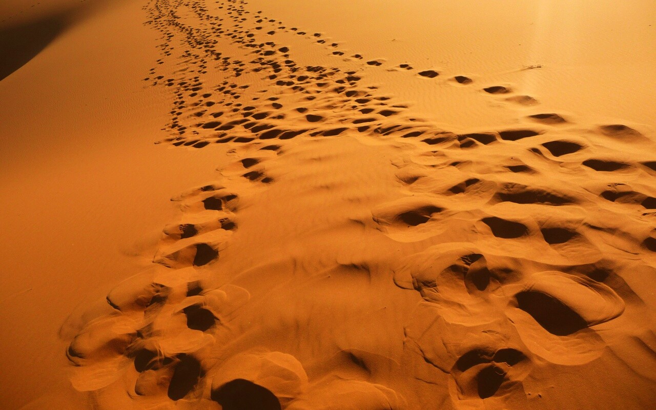 Следы в пустыне обои