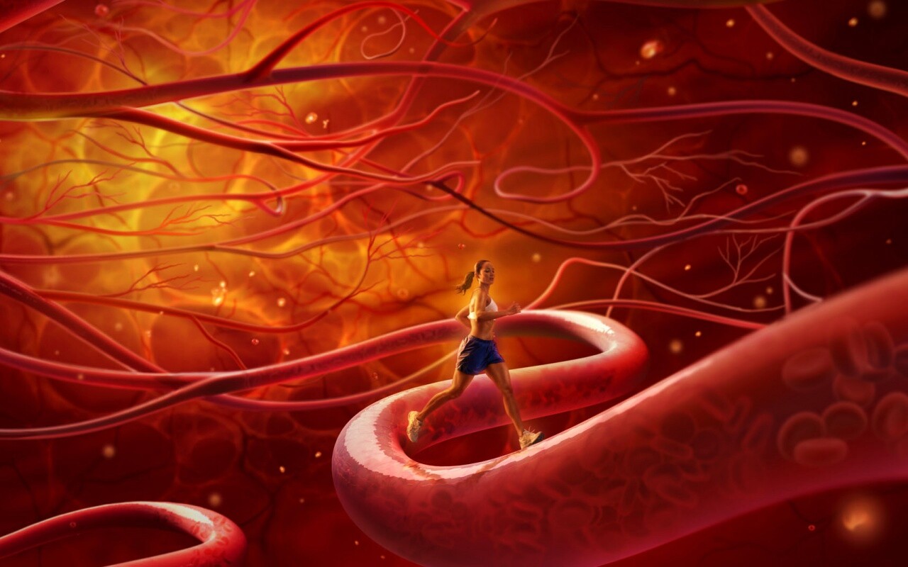 Бег крови обои