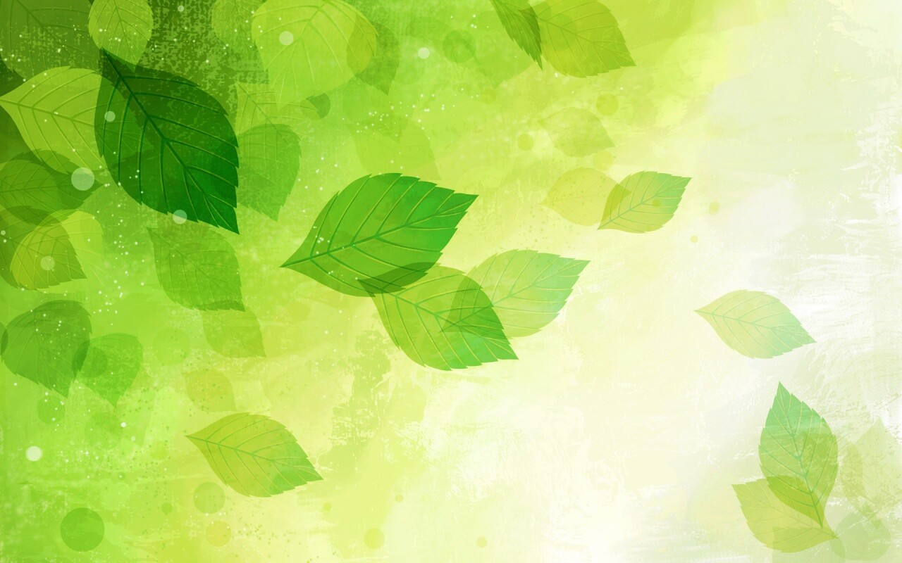 Прозрачные листья обои