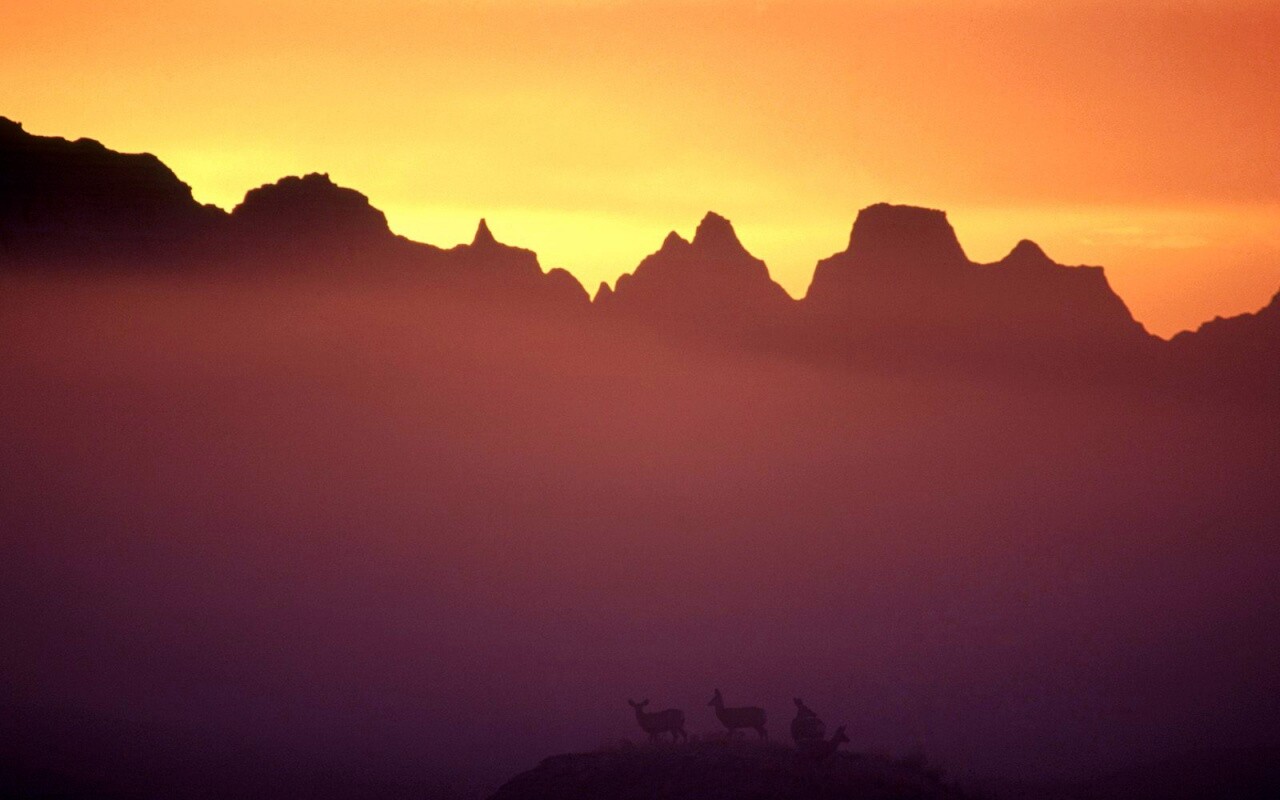 Вечер в национальном парке обои