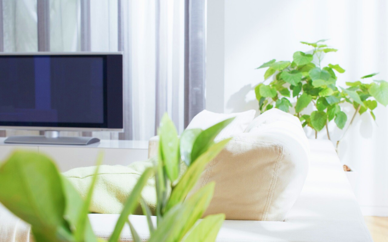 Белая комната обои