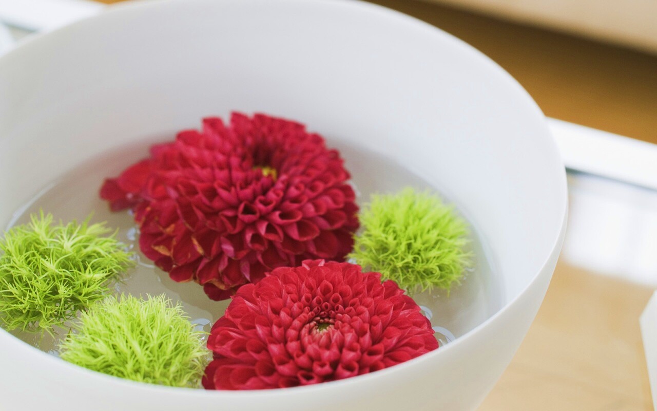 Чаша с цветами обои