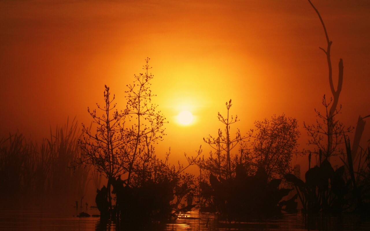 Доисторическое утро обои