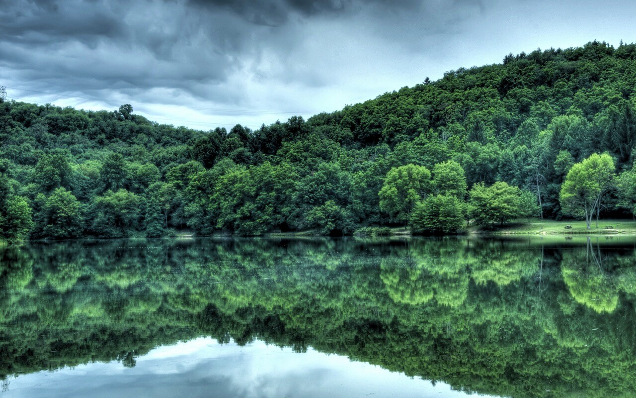 Лесной берег обои