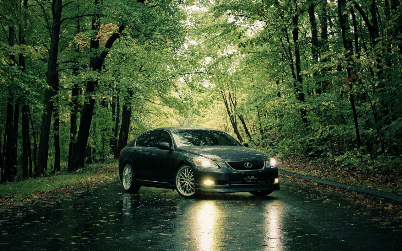 Лексус на лесной дороге обои