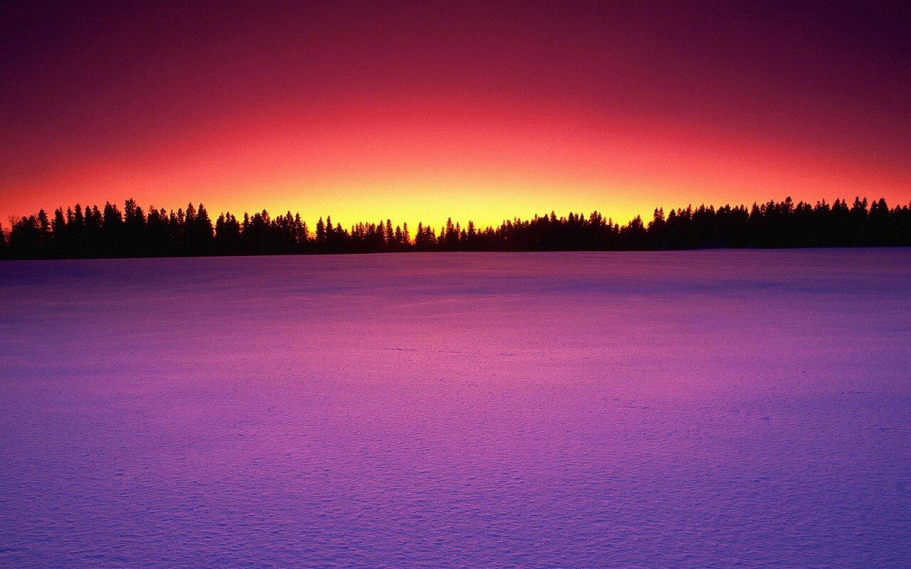 Восход над заснеженным лесом обои