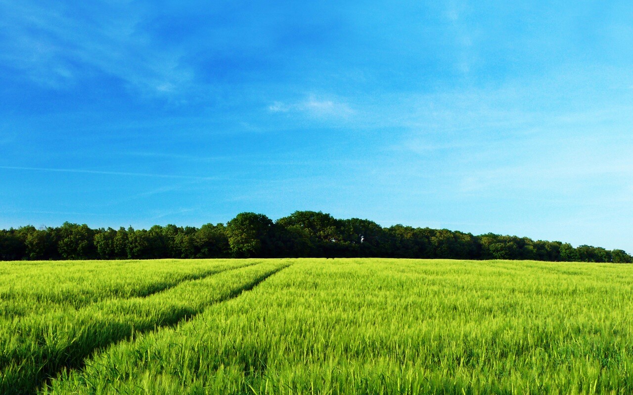 Следы колеи в поле обои