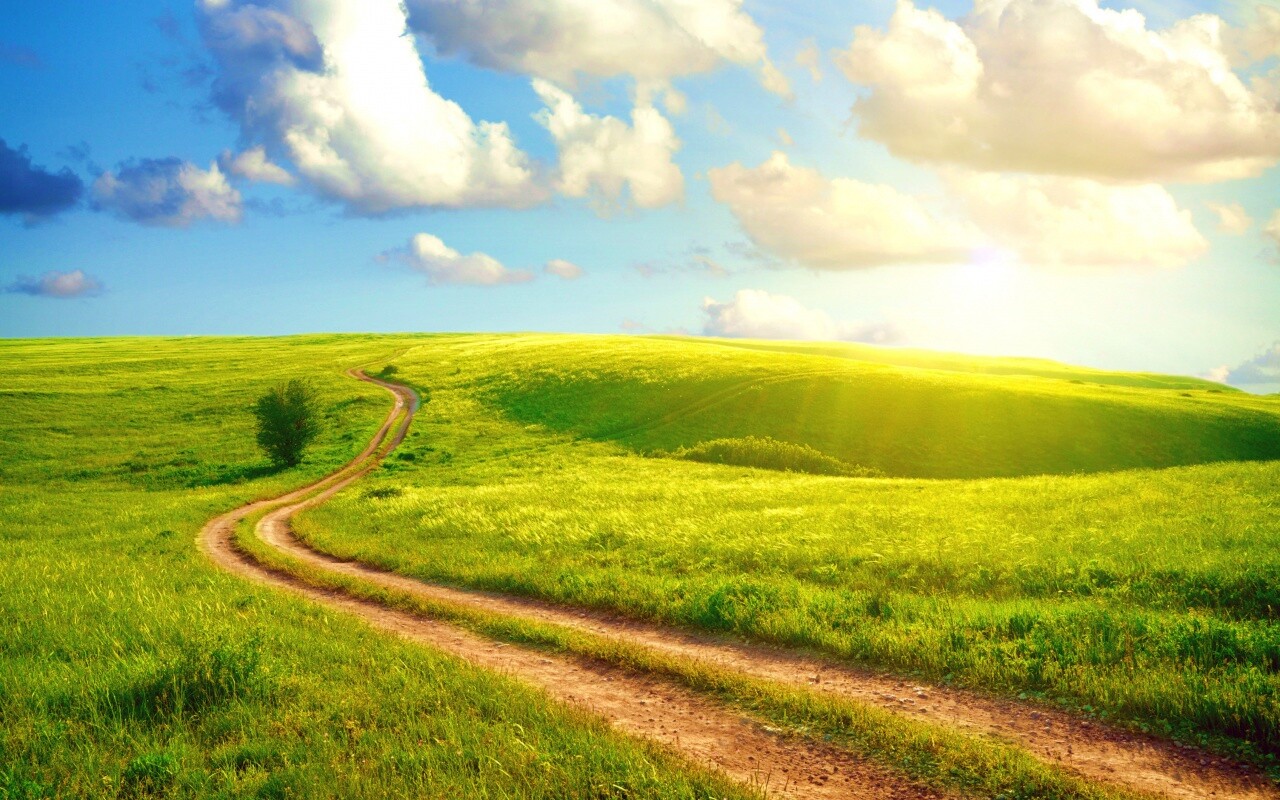 Дорога через луг обои