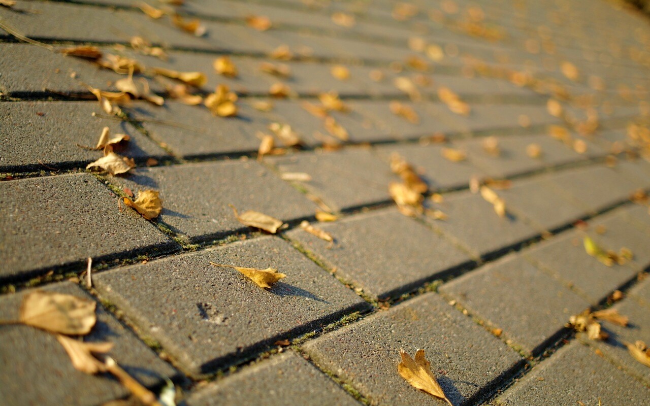 Тротуар обои