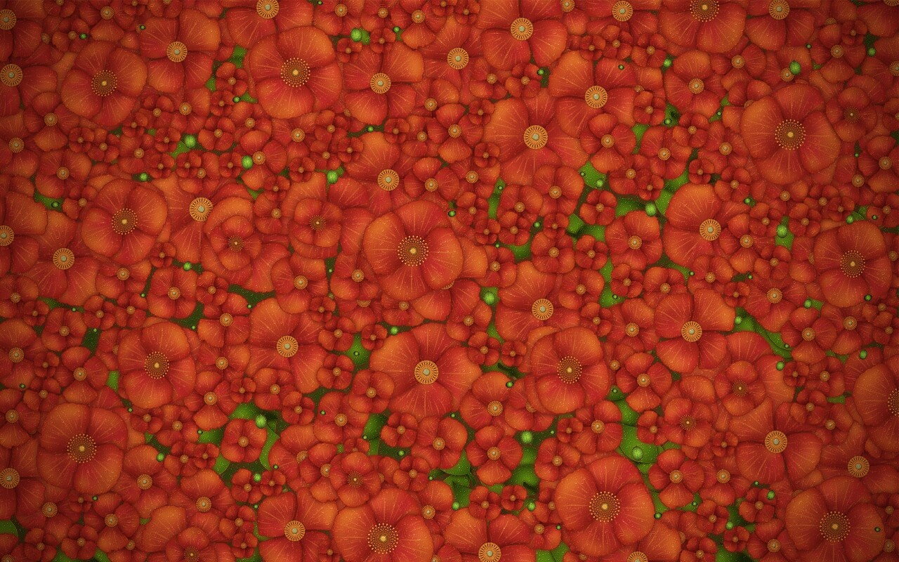 Рисунко с красными цветами обои