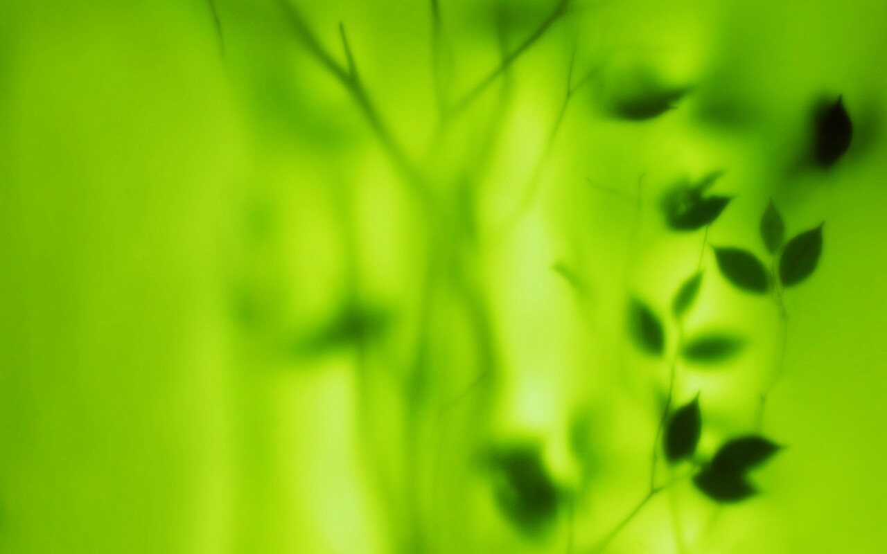 Зелень за стеклом обои