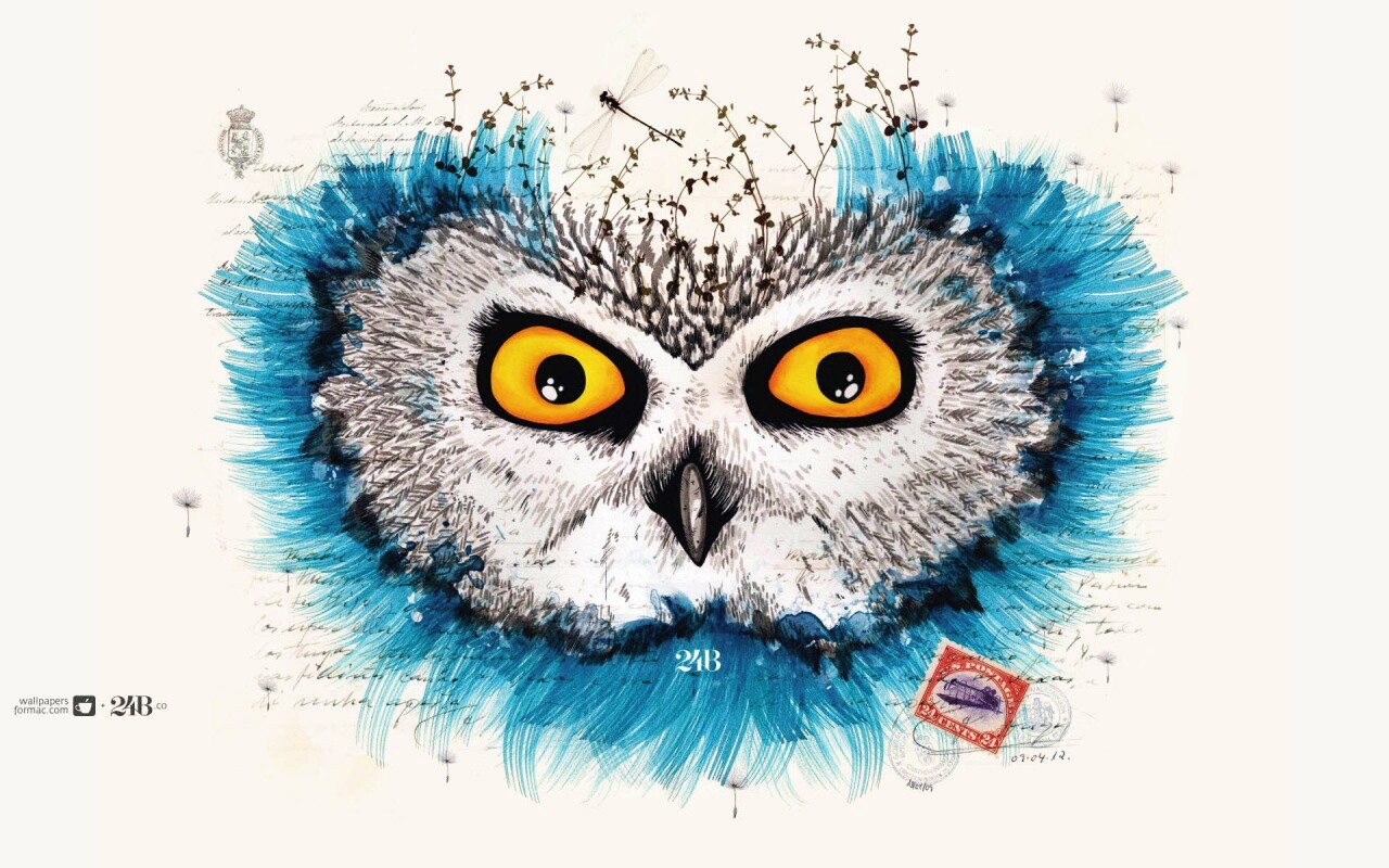 Обои сова для mac book обои