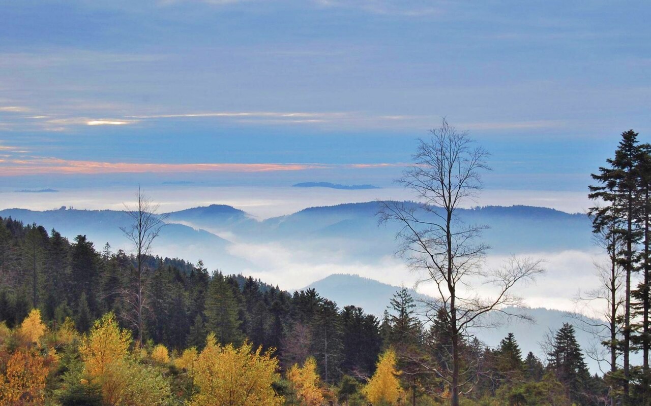 Холмы в тумане обои