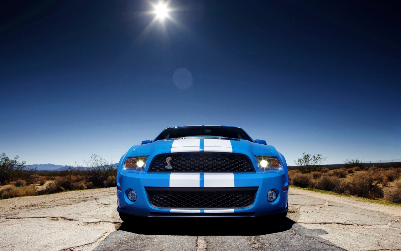 Форд Шелби обои