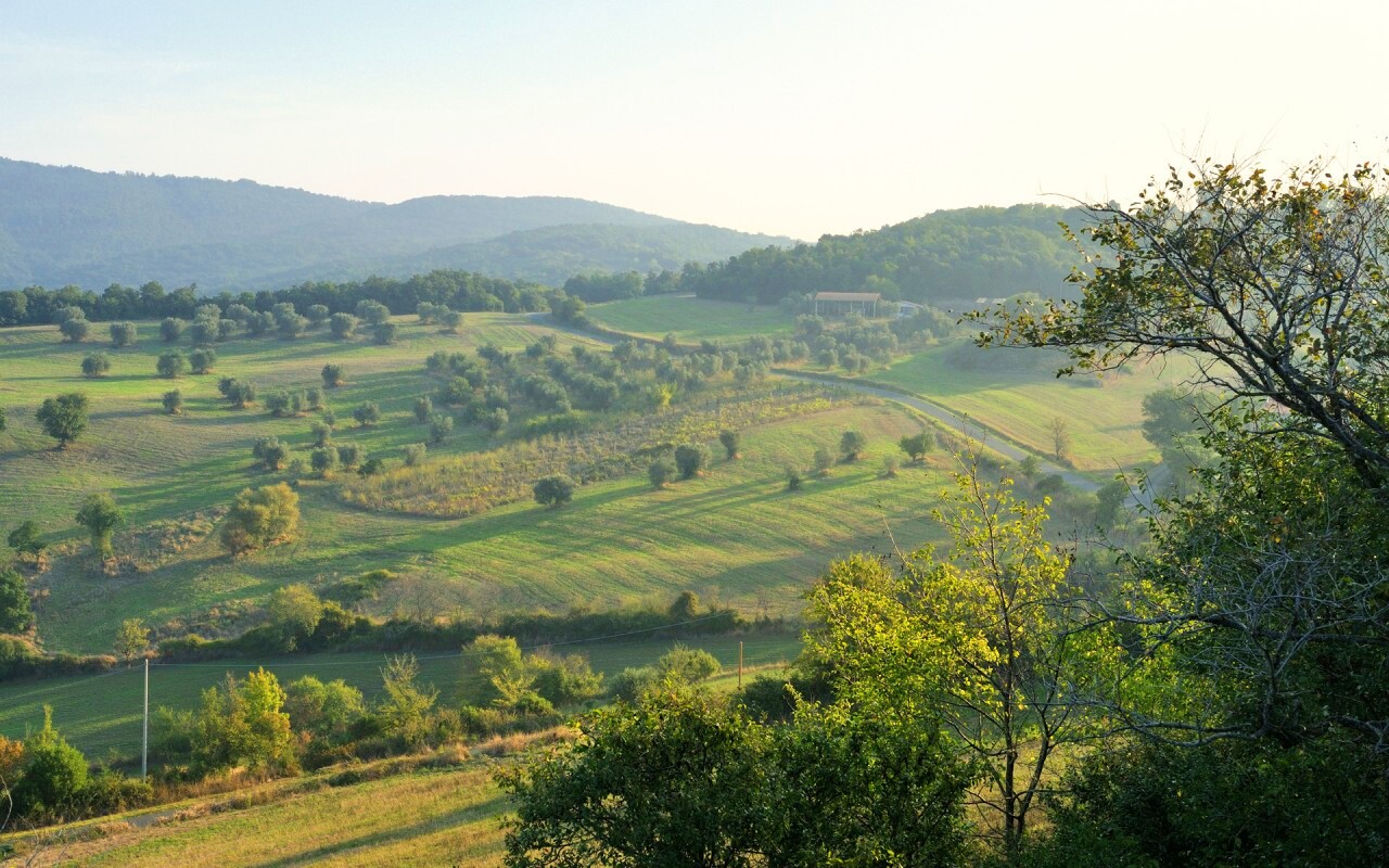 Ферма в долине обои