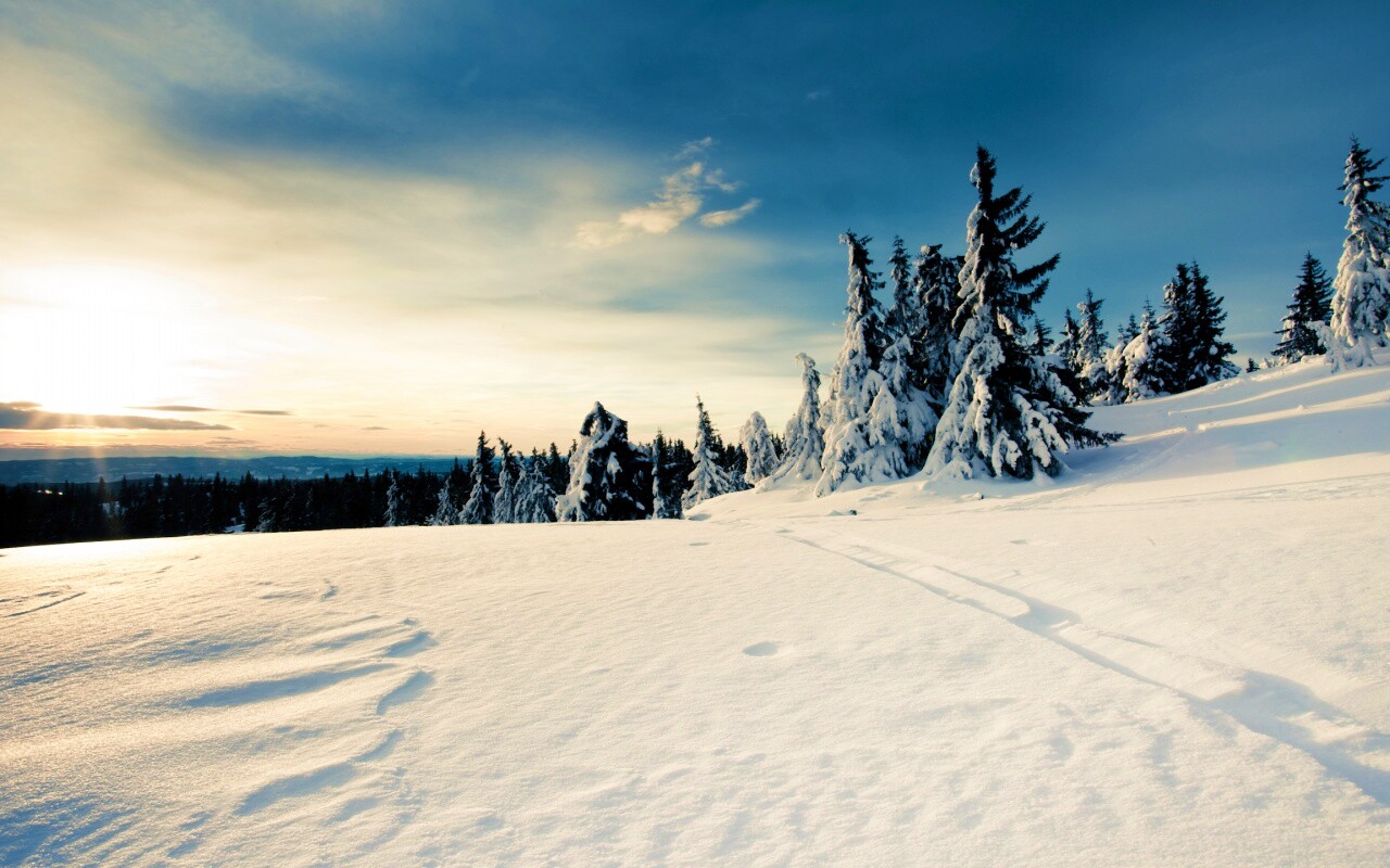 Зимние просторы обои