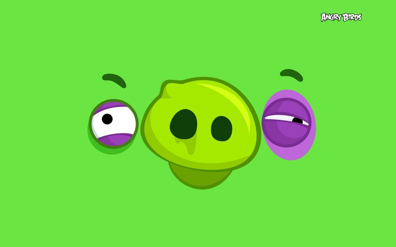 Свинья из Angry Birds обои