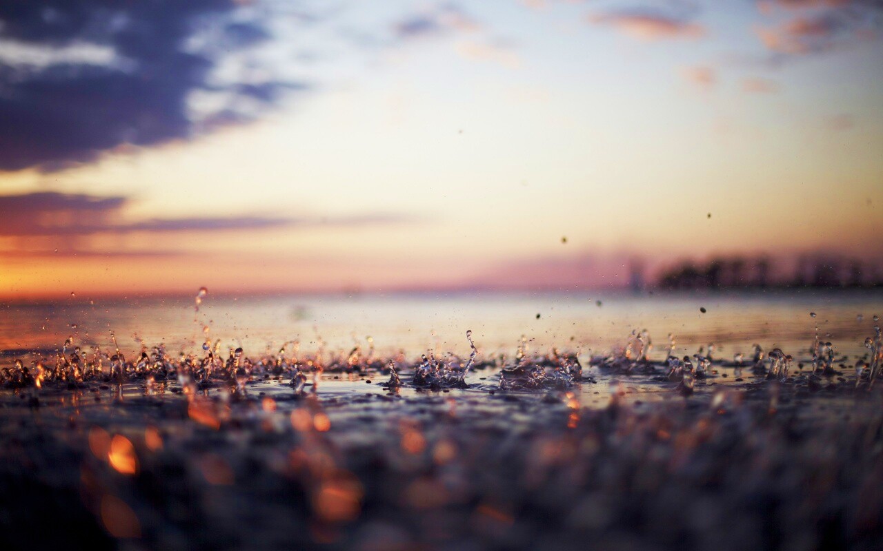 Дождь в макро обои