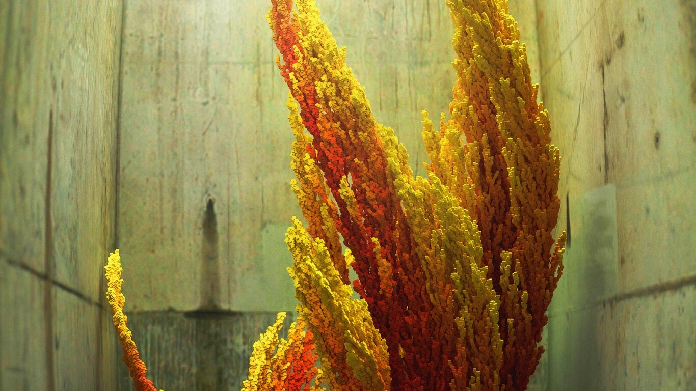 3d растение обои