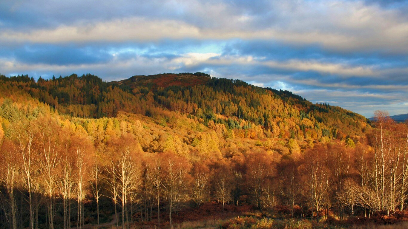 Золотая осень обои