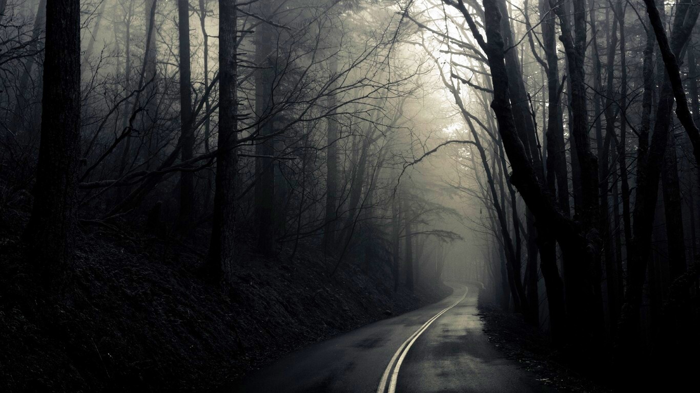 В туман обои