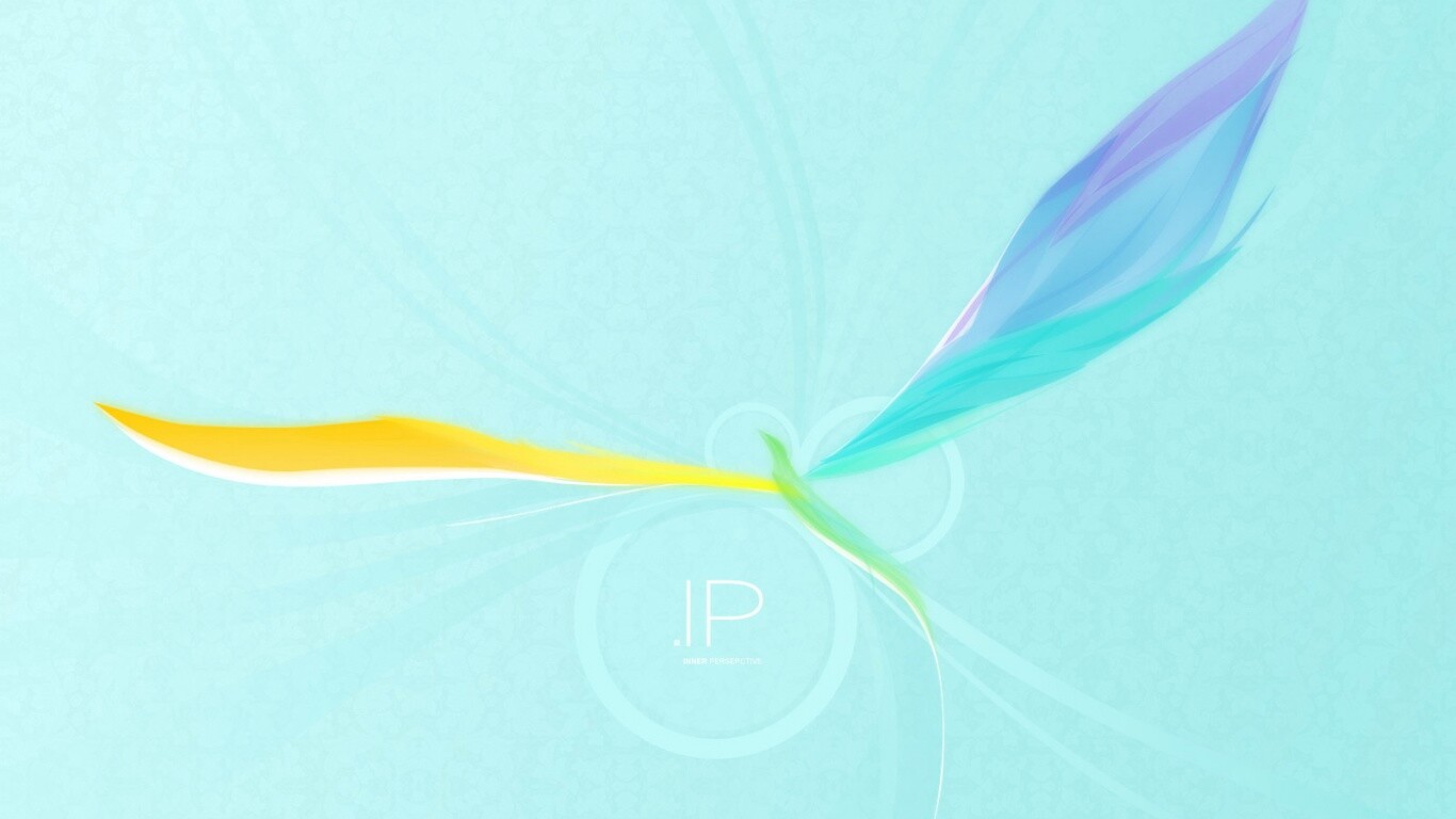 Силуэт птицы обои