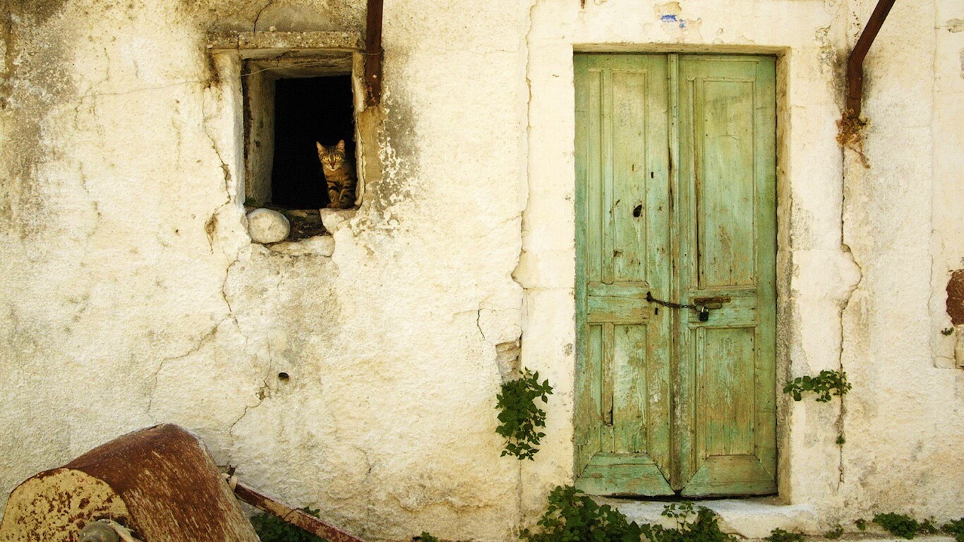 Кот выглядывает из разрушенного дома обои
