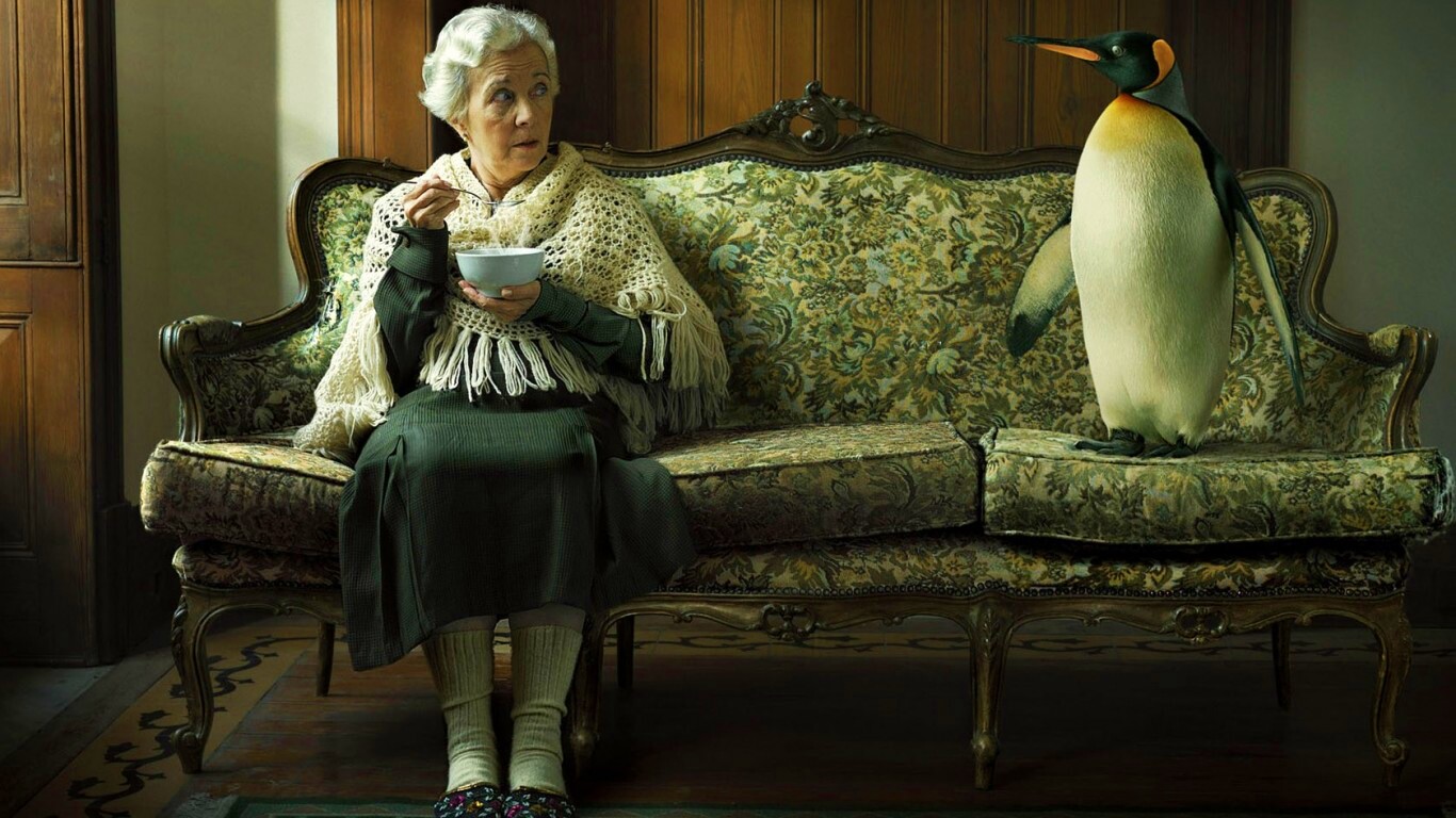 Соседи по дивану обои