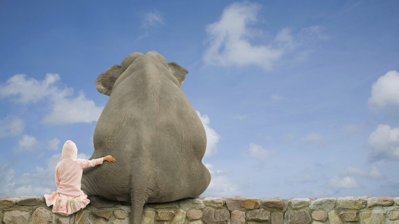 Девочка и слон обои