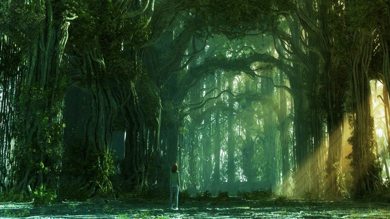 Одна в сумеречном лесу обои