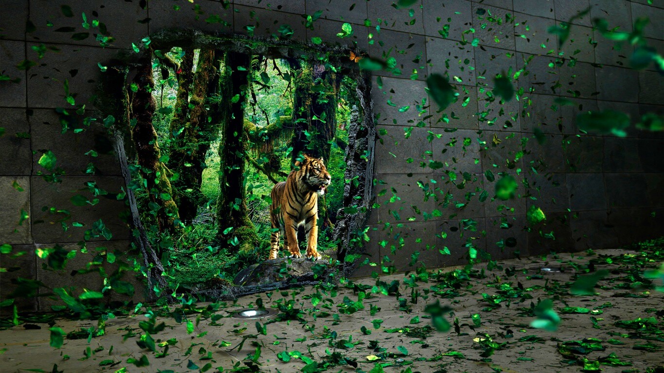 Портал в джунги обои