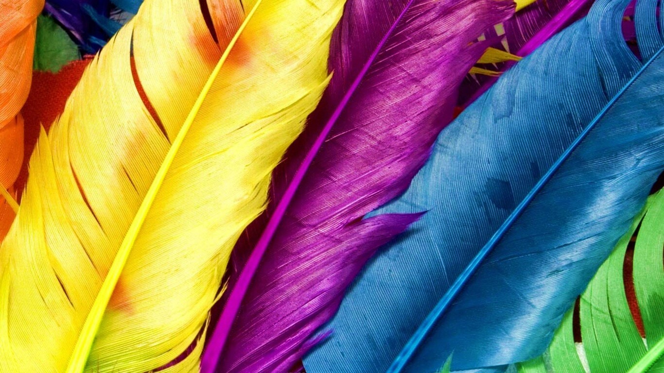 Разноцветные перья обои