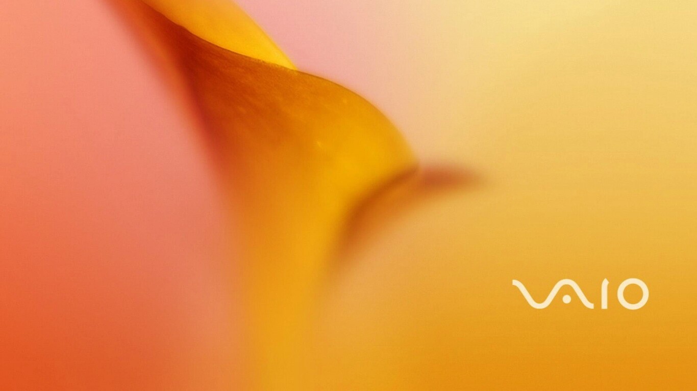 Цветок и логотип Vaio обои