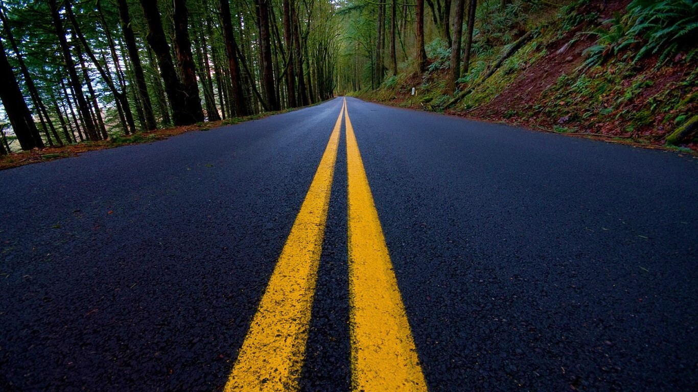 Дорога в лесу обои