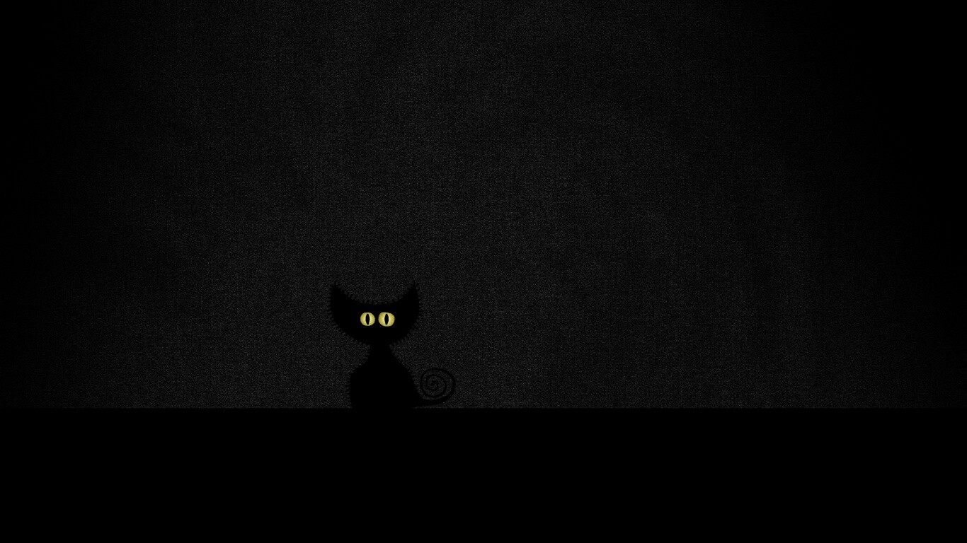 Чёрный кот в ночи обои