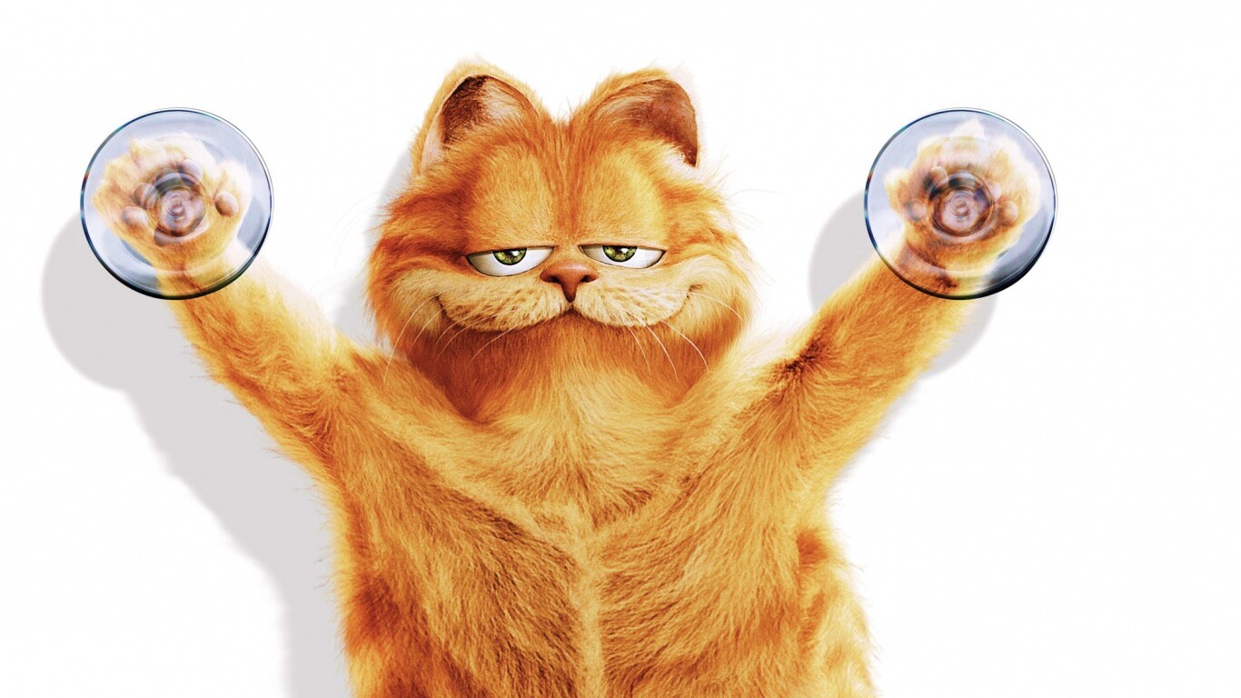 Рыжий проказник обои