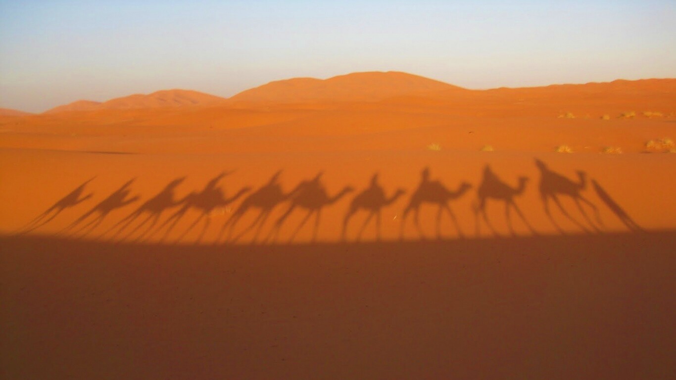 Караван обои