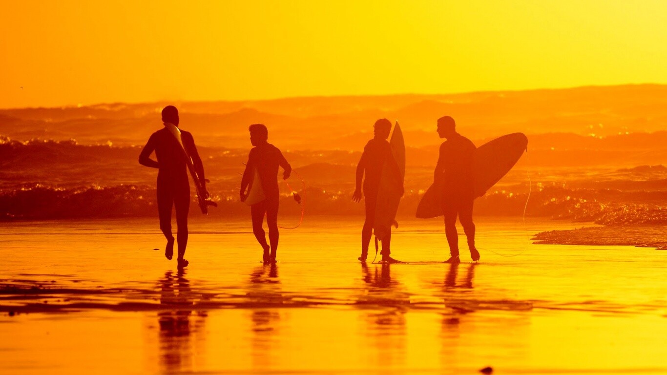 Серфингисты обои