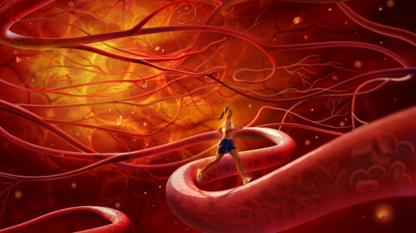 Бег крови обои