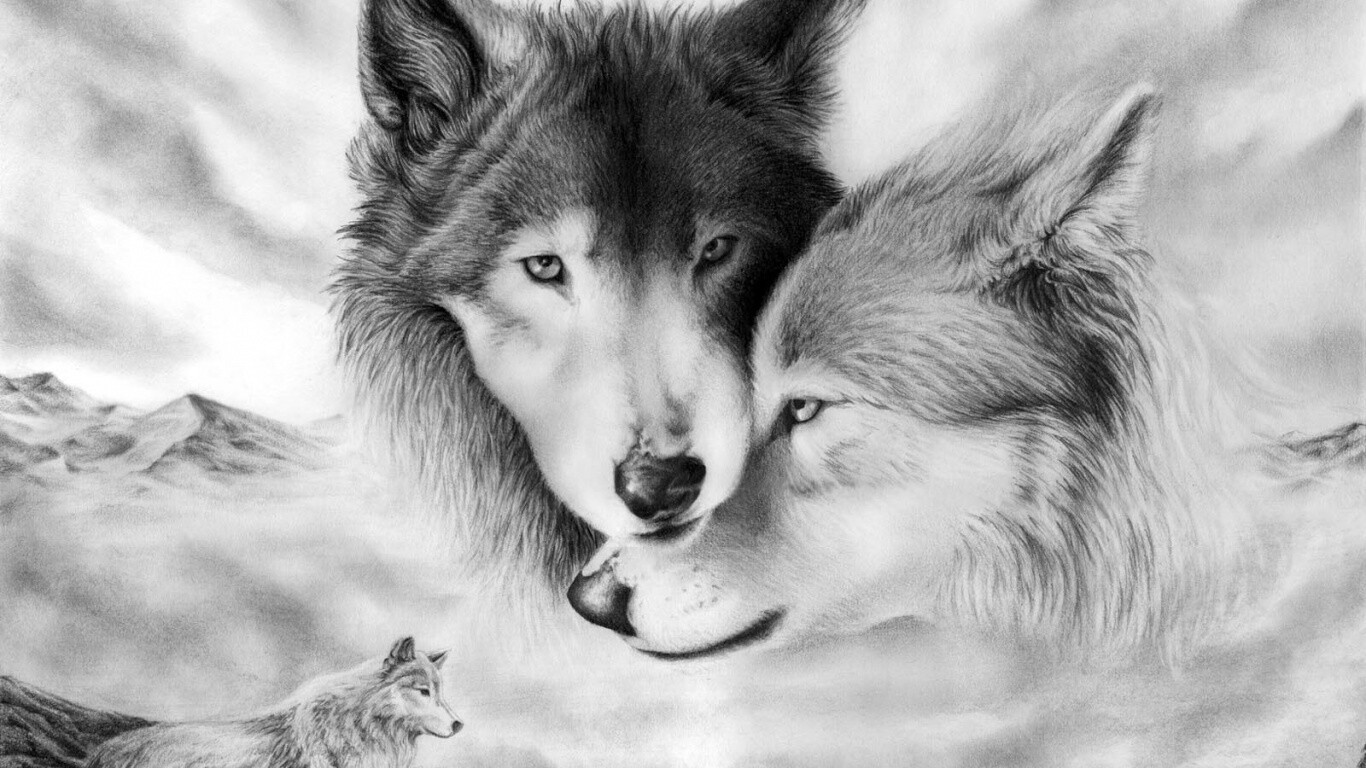 Волки обои