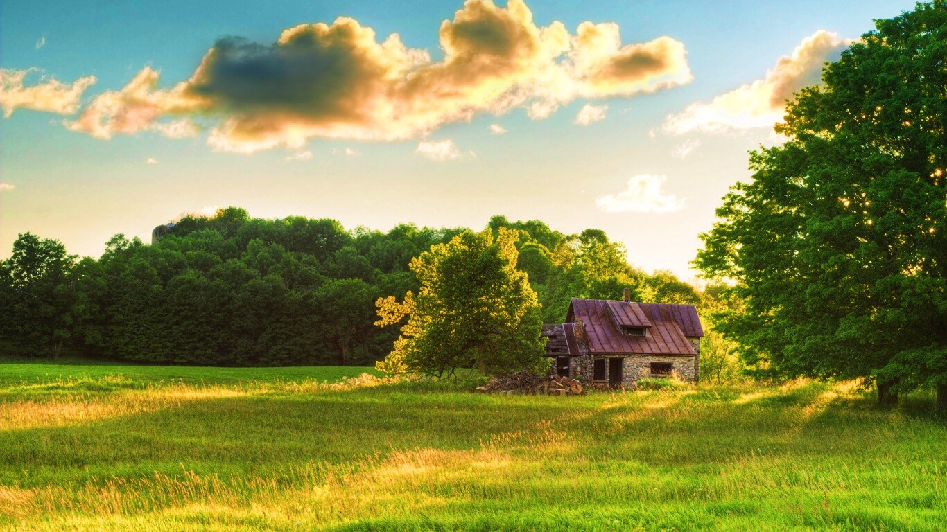 Домик в лесу обои