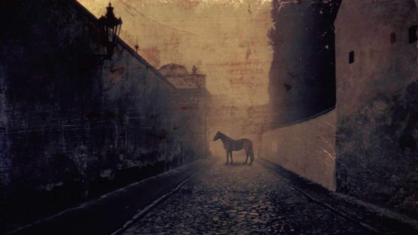 Лошадь в тумане обои