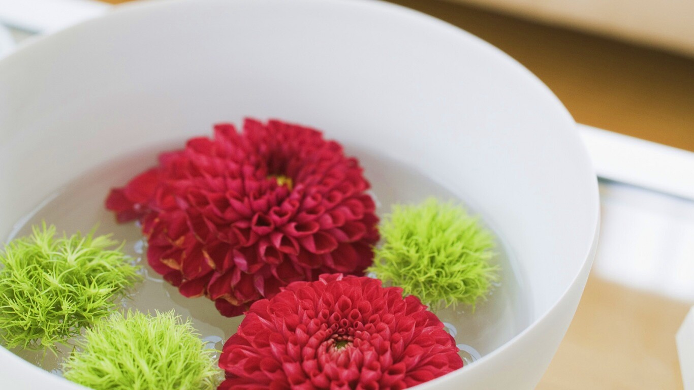 Чаша с цветами обои