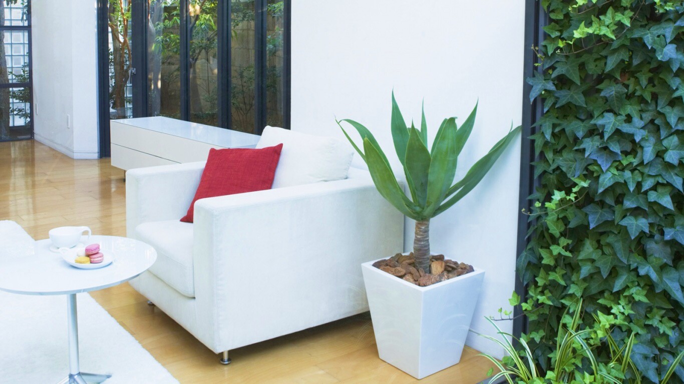 Белое кресло обои