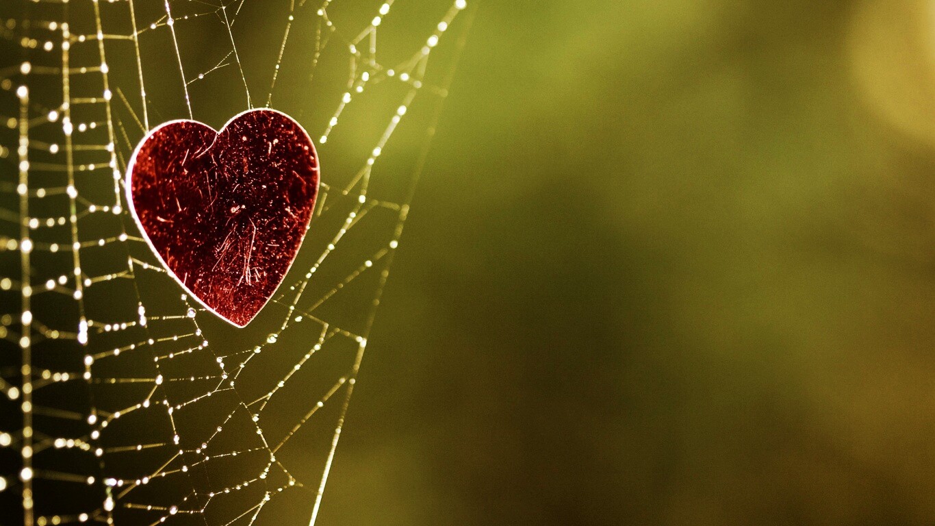 Запутавшаяся любовь.. обои